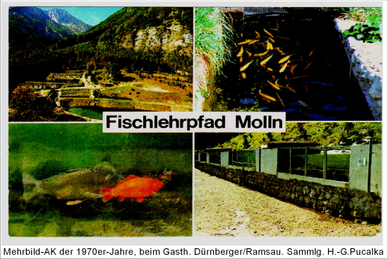 Mollner Fischlehrpfad 70er Jahre