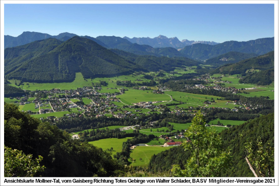 Mollnertal 2021