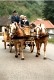 Kutsche