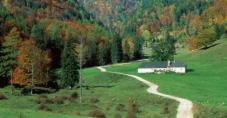 Blumauer Alm